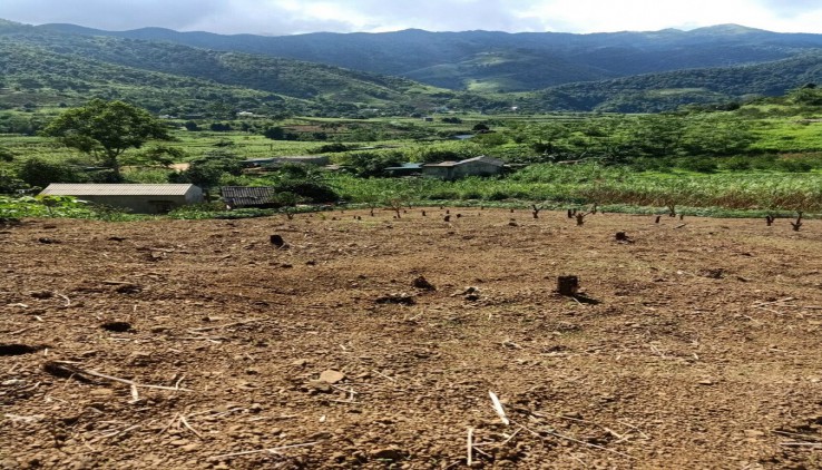 BÁN ĐẤT CAO PHONG HÒA BÌNH-6000M(500 THỔ CƯ)VIEW NÚI ĐẸP CÓ SẴN NHÀ