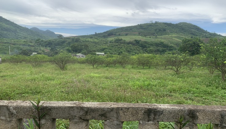 CẦN TIỀN BÁN GẤP 1200M GIÁ RẺ, ĐƯỜNG OTO TRÁNH, VIEW THOÁNG, ĐỊA CHỈ CAO PHONG - HÒA BÌNH.