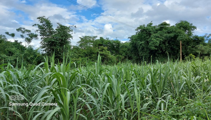 Bán đất Tân Lạc 7000m có ao, 400m thổ cư giá rẻ