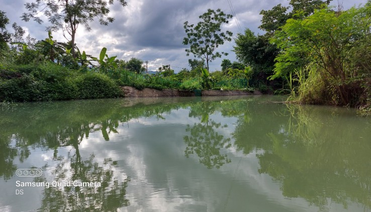 Bán đất Tân Lạc 7000m có ao, 400m thổ cư giá rẻ.