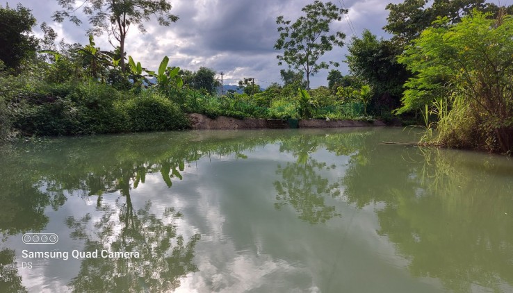 Bán đất Tân Lạc 7000m có ao, 400m thổ cư giá rẻ.