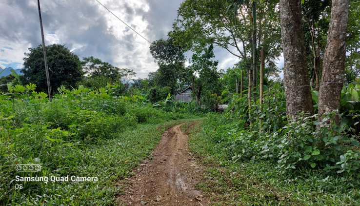 Bán đất Tân Lạc 7000m có ao, 400m thổ cư giá rẻ.