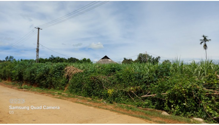 Bán gấp 3200m thổ cư siêu đẹp tại Tân Lạc thích hợp làm homestay, farmstay, đầu tư sinh lời