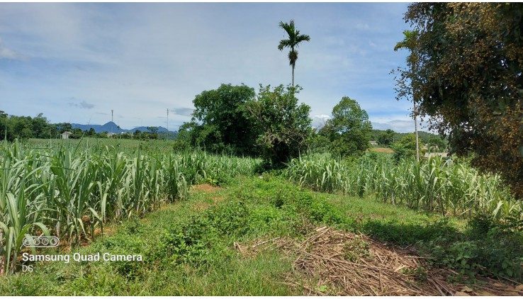 Bán gấp 3200m thổ cư siêu đẹp tại Tân Lạc thích hợp làm homestay, farmstay, đầu tư sinh lời