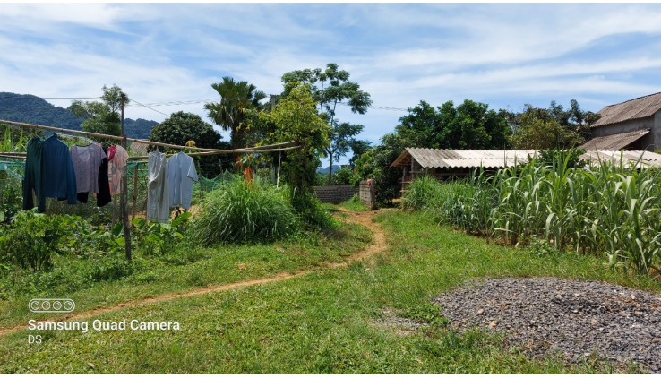 Bán gấp 3200m thổ cư siêu đẹp tại Tân Lạc thích hợp làm homestay, farmstay, đầu tư sinh lời