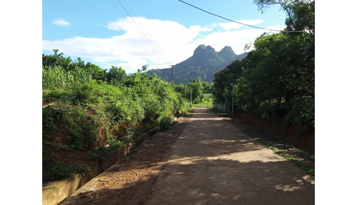 Bán gấp 3200m thổ cư siêu đẹp tại Tân Lạc thích hợp làm homestay, farmstay, đầu tư sinh lời