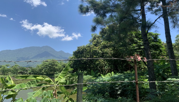 BÁN KHUÔN VIÊN VÂN HÒA BA VÌ 4460M CÓ 400M ONT SẴN NHÀ SÀN CÓ AO RỘNG VIEW NÚI, CÁNH ĐỒNG