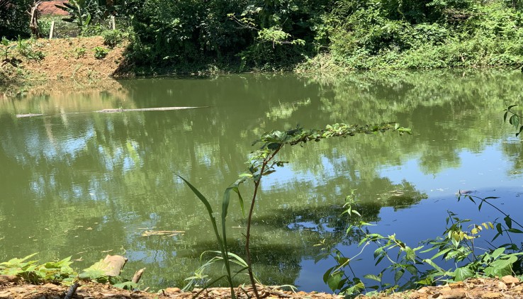 BÁN ĐẤT VÂN HÒA  8900M CÓ 1200M ONT SẴN NHÀ, AO, CÂY ĂN QUẢ LÂU NĂM