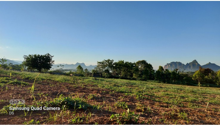 Cần bán gấp mảnh đất vườn tại Xuân Phong Cao Phong