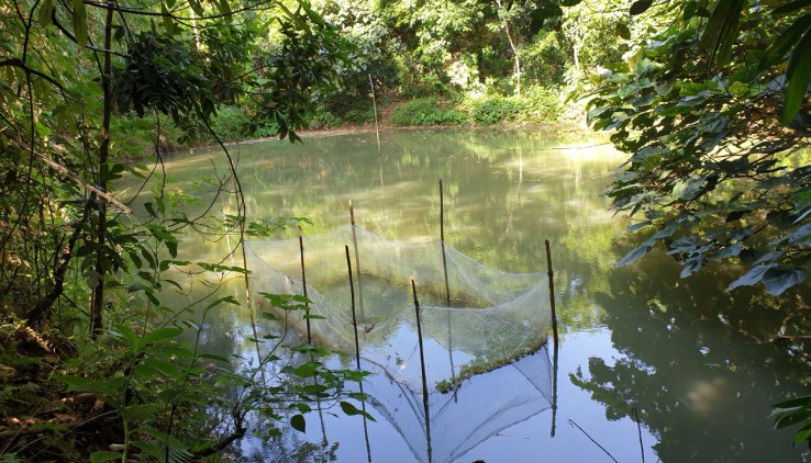 Bán đất kim bôi view thoáng,cách hà nội chỉ  60km