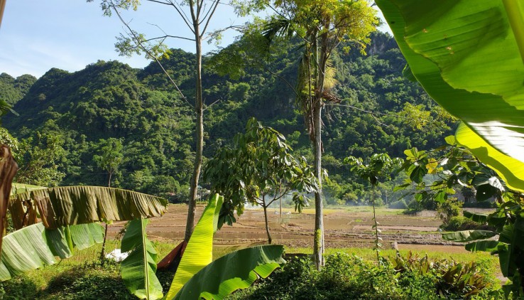 BÁN ĐẤT KIM BÔI 3050m VIEW CÁNH ĐỒNG,NÚI GIÁ 2,xTy