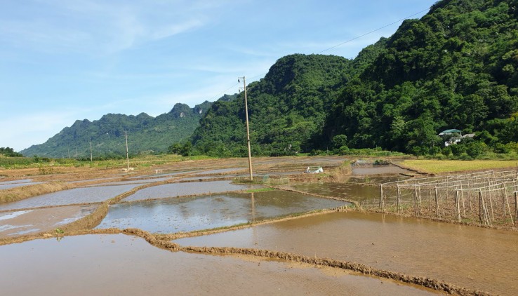 BÁN ĐẤT KIM BÔI 3050m VIEW CÁNH ĐỒNG,NÚI GIÁ 2,xTy