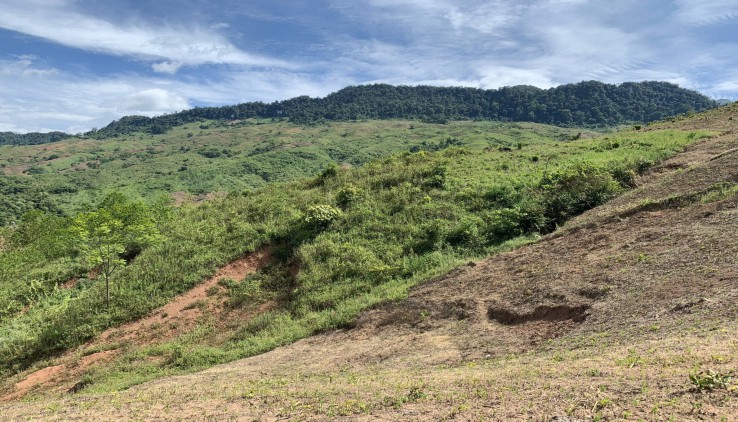 Cần bán 500ha đất tại Mai Châu Hòa Bình giá cực rẻ