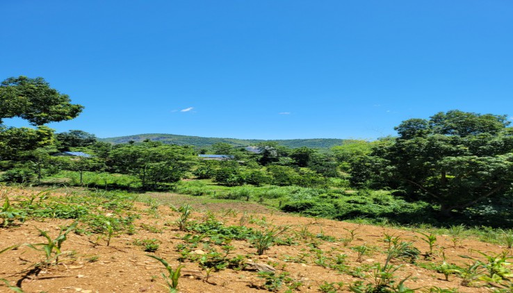 Bán đất Lương Sơn 6000m địa thế đất cao thoáng ,view panorama siêu đẹp, gần nhiều khu nghỉ dưỡng..