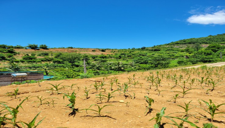 Bán đất Lương Sơn 6000m địa thế đất cao thoáng ,view panorama siêu đẹp, gần nhiều khu nghỉ dưỡng..