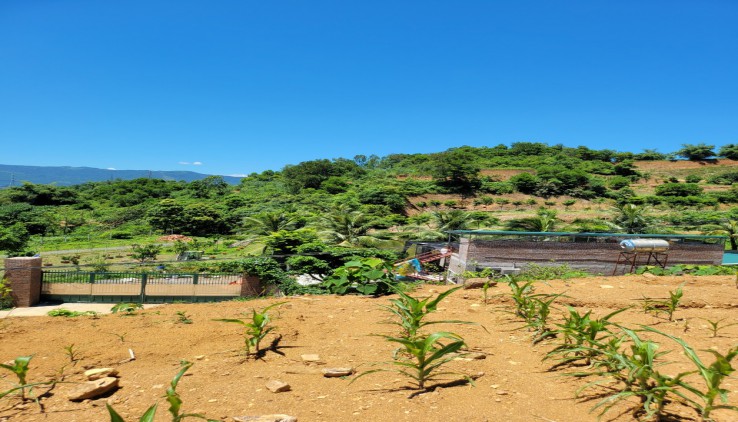 Bán đất Lương Sơn 6000m địa thế đất cao thoáng ,view panorama siêu đẹp, gần nhiều khu nghỉ dưỡng..