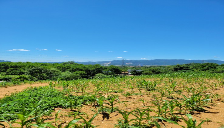 Bán đất Lương Sơn 6000m địa thế đất cao thoáng ,view panorama siêu đẹp, gần nhiều khu nghỉ dưỡng..