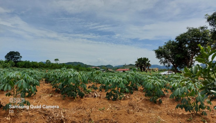 Bán đất Tân Lạc 5100m2 có 400m đất ở bằng phẳng view thoáng phù hợp đầu tư sinh lời, làm nghỉ dưỡng,