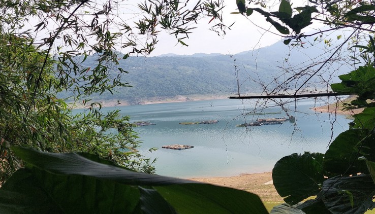 bán siêu phẩm lòng hồ HÒA BÌNH duy nhất còn sót lại tại Hiền Lương Đà Bắc làm homesaty, farmstay