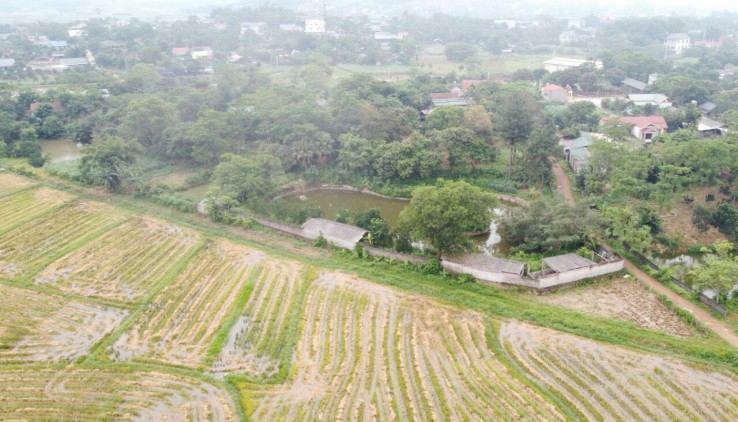 BÁN KHUÔN VIÊN VÂN HÒA BA VÌ 4459m CÓ 400M ONT SẴN NHÀ SÀN CÓ AO RỘNG VIEW CÁNH ĐỒNG, NÚI