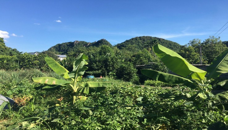 Bán 2400m.400ont giá rẻ cho nhà đầu tư tại Liên Sơn - Lương Sơn - Hòa Bình