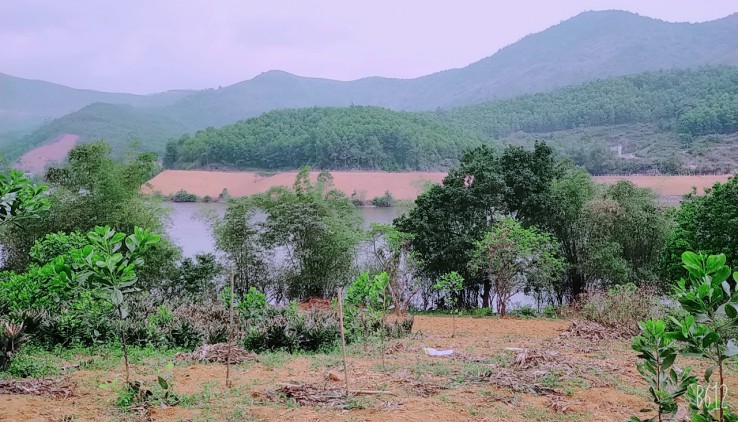 Bán 3.6 hecta đất thổ cư bám hồ tại Lương Sơn, Hoà Bình giá chỉ 420k/m