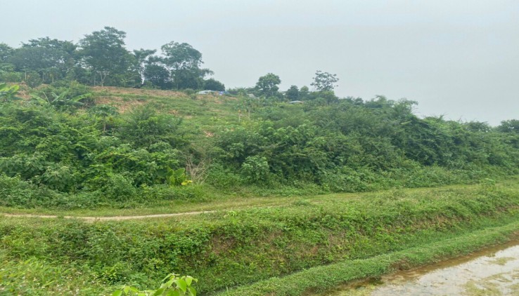 Bán 2824m Đất bám trục đường chính , ôm trọn cả một quả đồi tại Lương Sơn - Hòa Bình