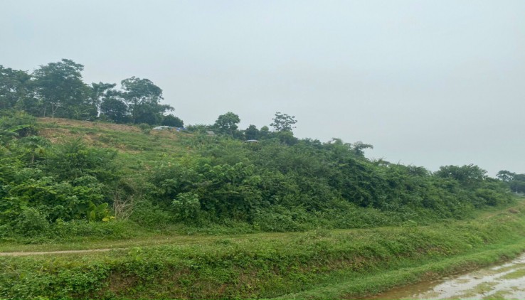 Bán 2824m Đất bám trục đường chính , ôm trọn cả một quả đồi tại Lương Sơn - Hòa Bình