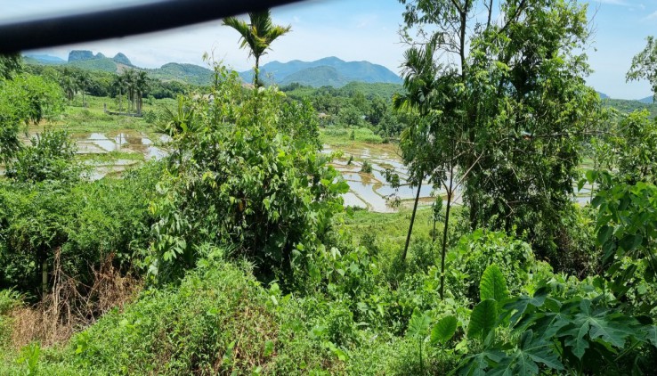 Bán 1000m View cánh đồng thoáng mát tại Lương Sơn, Hoà Bình giá đầu tư.