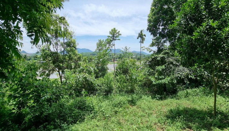 Bán 1000m View cánh đồng thoáng mát tại Lương Sơn, Hoà Bình giá đầu tư.