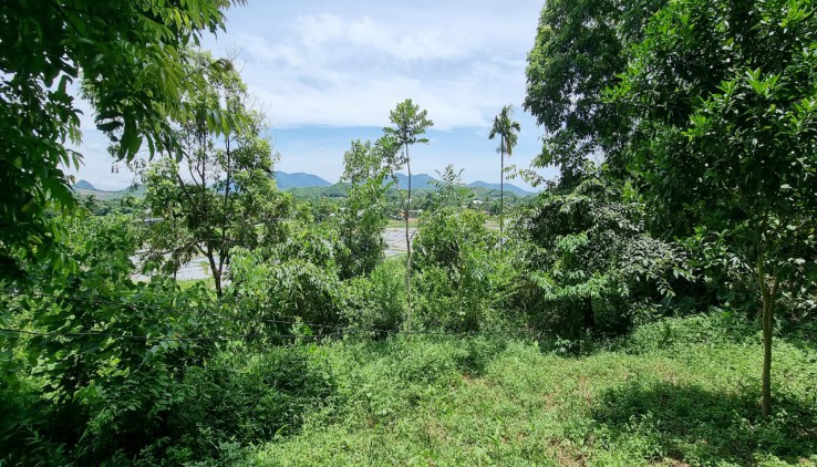 Bán ngay 1000m2 đất tại Lương Sơn, view cao thoáng,