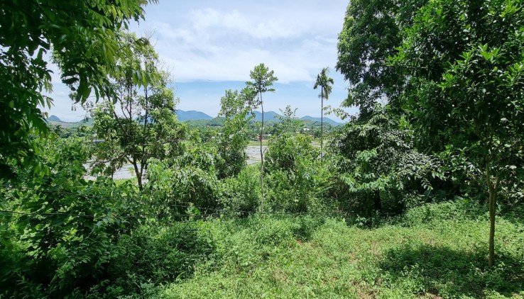 Chính chủ bán 1000m2 thổ tại Cư Yên Lương Sơn đất đẹp mặt tiền 30m đường oto vào tận đất giá cực rẻ