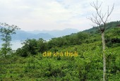 7ha bám mặt hồ Sông Đà, bến Hiền Lương, đà Bác, Hòa Bình.