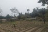 Bán 2200m đất vườn tại Thủy Xuân Tiên-Chương Mỹ-Hà Nội
