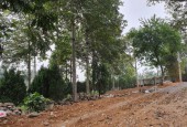 Nơi hội tụ những tinh hoa của cuộc sống Tiện ích và đẳng cấp 2430m2 ngay sát vịt cổ xanh Cư Yên