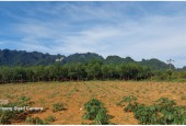 Bán đất đẹp tại Tân Lạc với diện tích 5000m