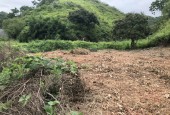Cần bán đất rừng bám mặt đường quốc lộ 6 tại Cao Phong
