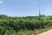 BÁN ĐẤT CAO PHONG 5569m ĐẤT VƯỜN LÔ 3 MẶT TIỀN ĐƯỜNG BÊ TÔNG GIÁ CHỈ HƠN TỶ XÍU