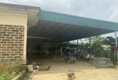 Bán đất 2 mặt tiền vew cánh đồng thoáng mát tại Cư yên Lương Sơn Hòa Bình.