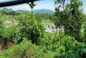 Chính chủ gửi bán 1000m trong đó có 100m thổ cư còn lại toàn bộ đất vườn tại cư yên lương sơn.