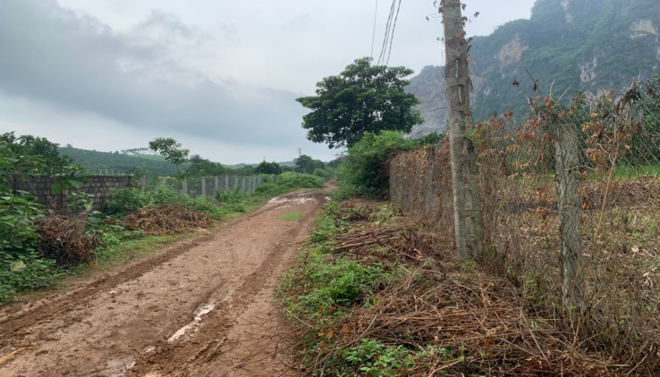 Chính chủ gửi bán 7200m Cao Phong view nông trường lưng tựa núi cực phẩm