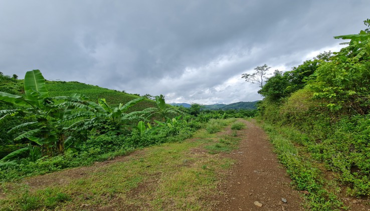 Cần tiền trả nợ ngân hàng bán gấp lô đất rộng 6000m2 tại Cao Phong, Hòa Bình giá đầu tư