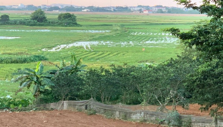 Bán siêu phẩm nghỉ dưỡng rộng 1664 m2 có 400m2 thổ cư view cánh đồng tại Lương Sơn Hòa Bình.