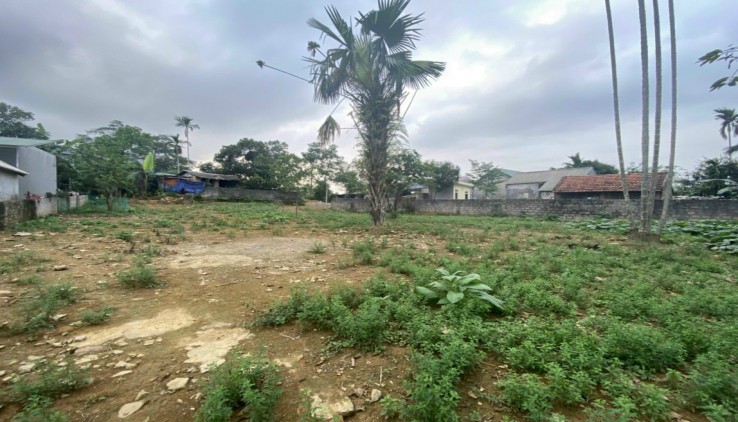 Bán đất ba vì 1900m thổ cư view cánh đồng cực đẹp.