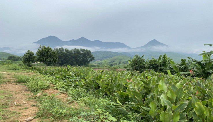 Bán đất ba vì view cực đẹp.cách hà nội chỉ 30km