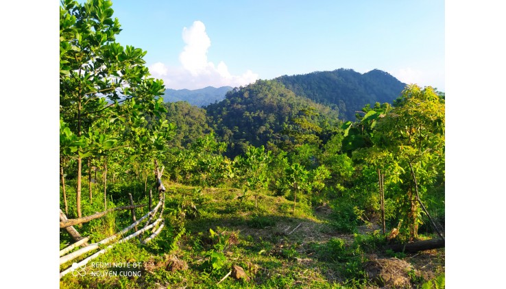 Bán 2000m2 đất trồng cây hàng năm tại xóm Mừng hợp Phong Cao Phong Hòa Bình