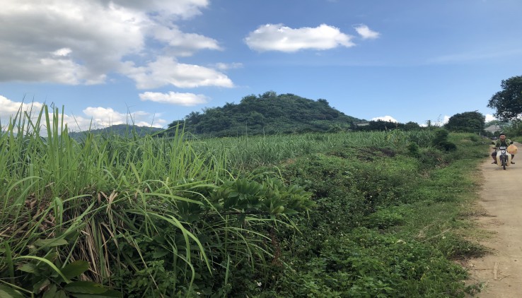 Bán 4200m có 2000m thổ cư tại Cao Phong, Hoà Bình bằng phẳng như sân bay làm homestay, đầu tư