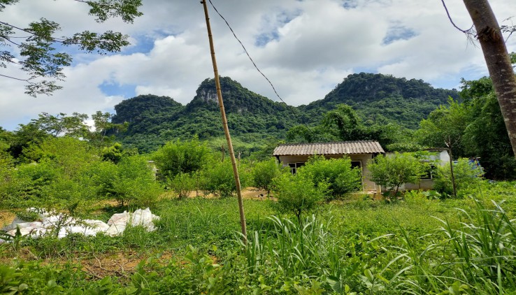 CẦN BÁN HƠN 1HA ĐẤT CÓ 500M THỔ CƯ,CÓ MẠCH NƯỚC NGẦM TRONG VẮT Tại Kim Bôi