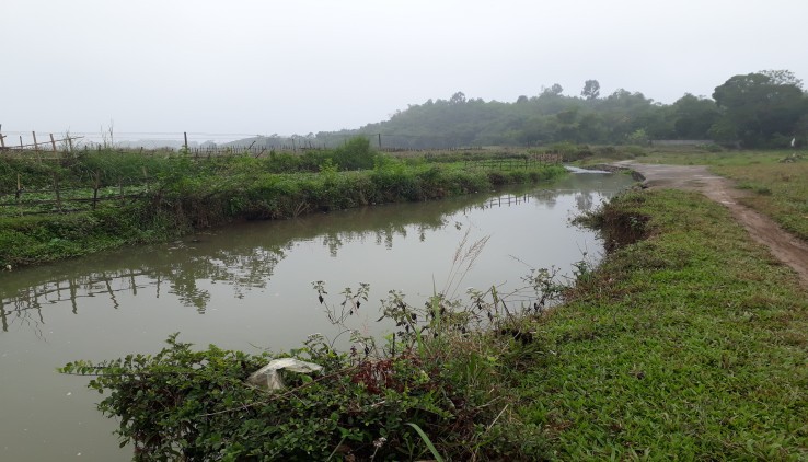 Chính chủ bán gấp 1,4ha đất thổ cư tuyệt đẹp sát suối, ruộng tại lương sơn, hòa bình.