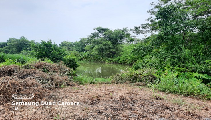 Cần bán khuôn viên biệt thự nhà vườn đẹp mới sẵn ở Tai Thủy Xuân Tiên, Chương Mỹ, HN Cach Đuờng HCM 300m!